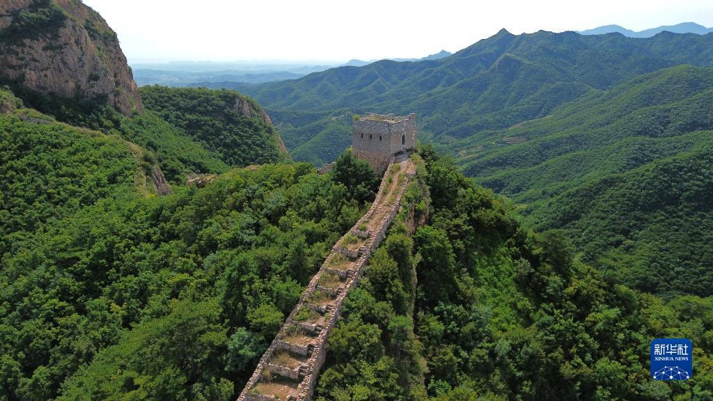 大富豪游戏电脑版
